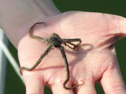 Click now to see this image full size.