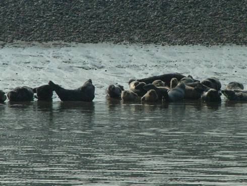 Click now to see this image full size.