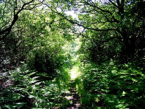 Click now to see this image full size.