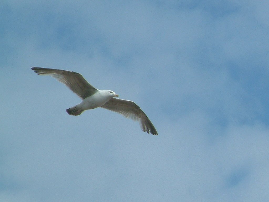 Click now to see this image full size.