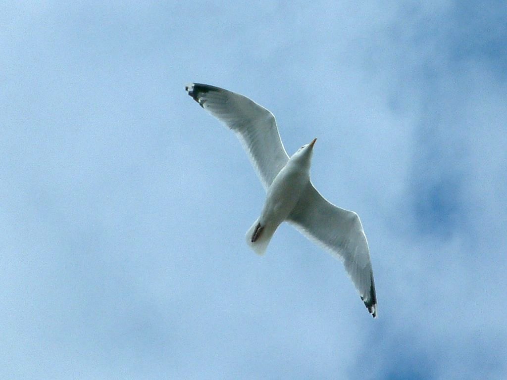 Click now to see this image full size.