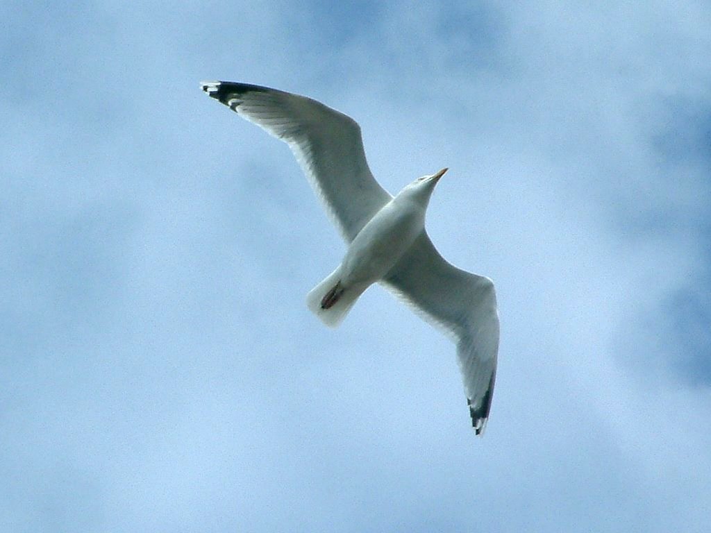 Click now to see this image full size.