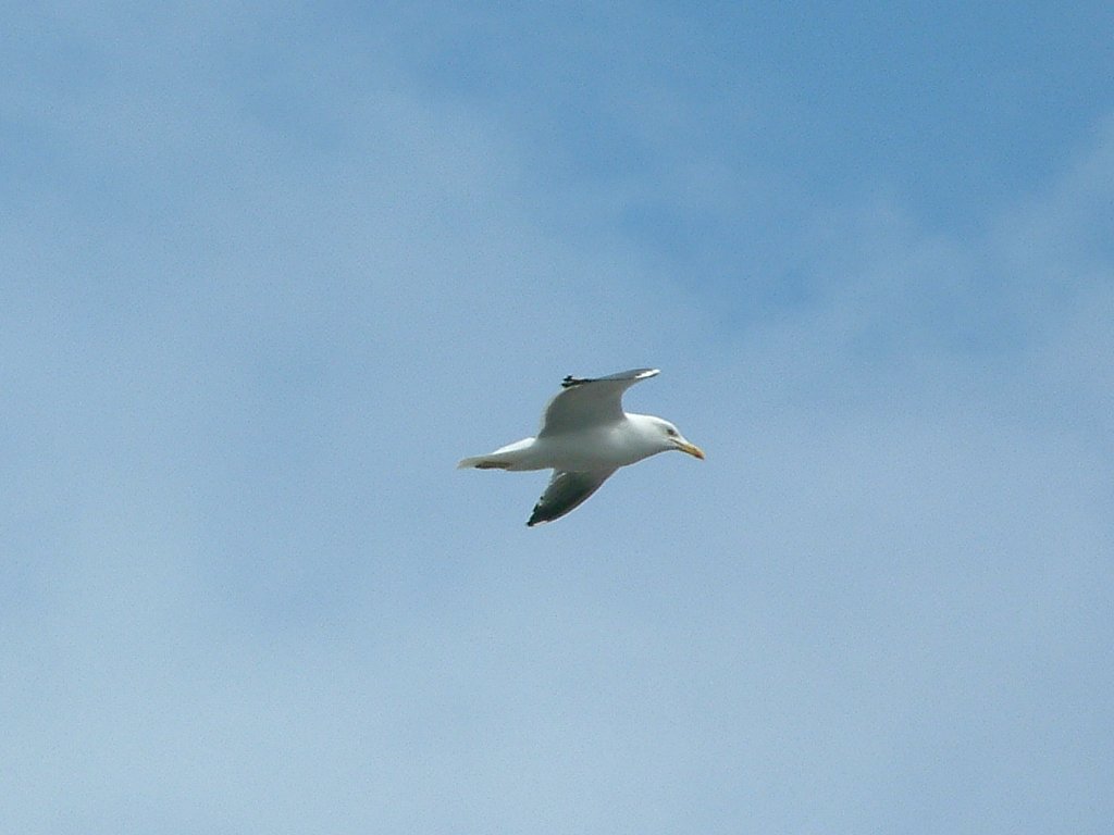 Click now to see this image full size.