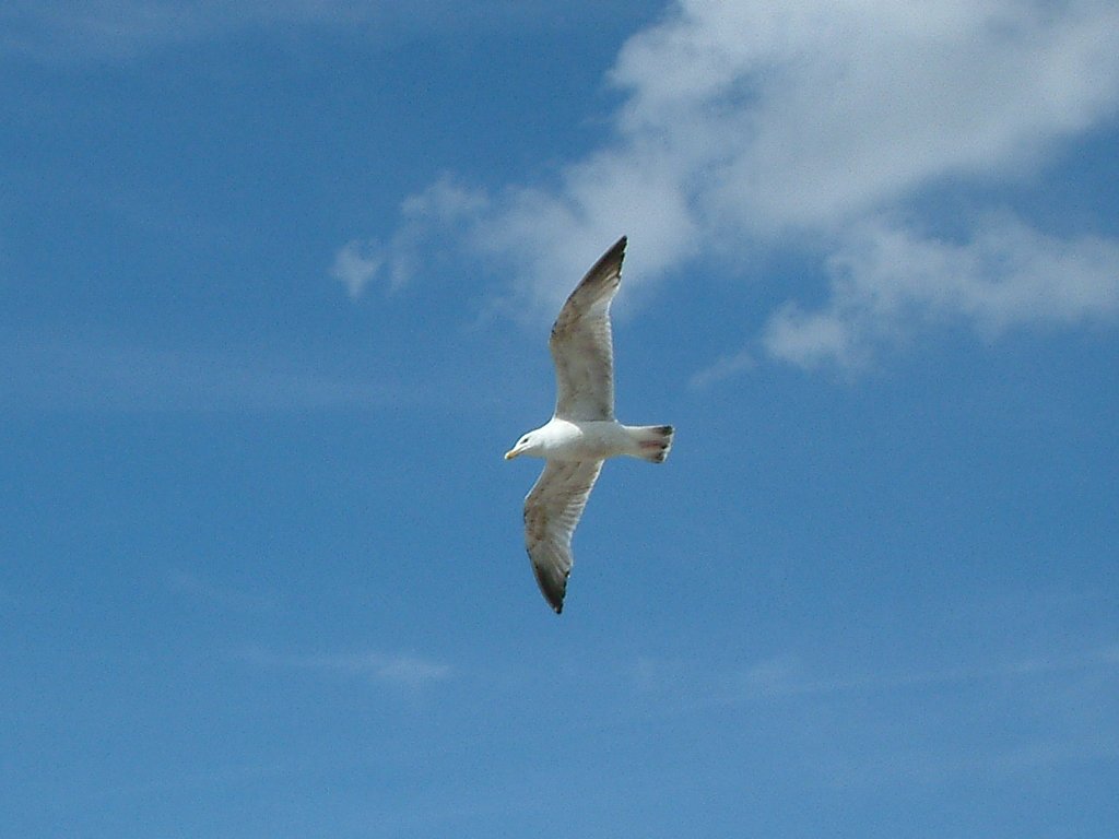 Click now to see this image full size.