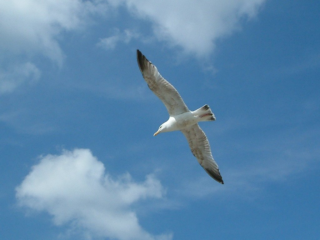 Click now to see this image full size.