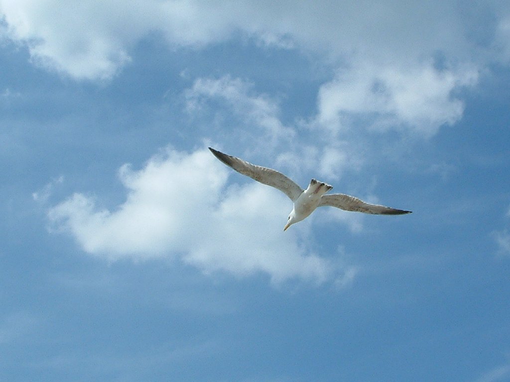 Click now to see this image full size.