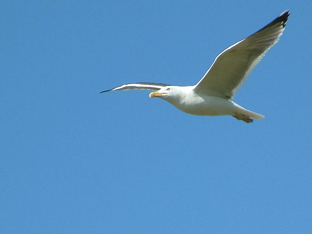 Click now to see this image full size.