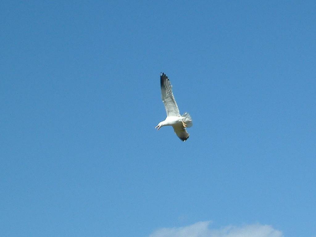 Click now to see this image full size.