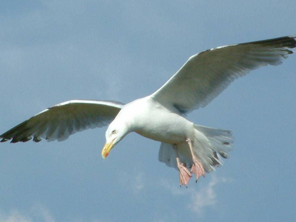 Click now to see this image full size.