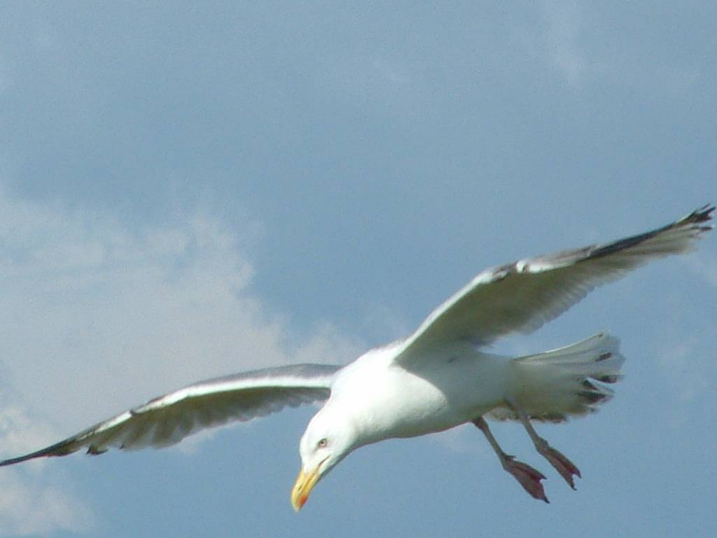 Click now to see this image full size.