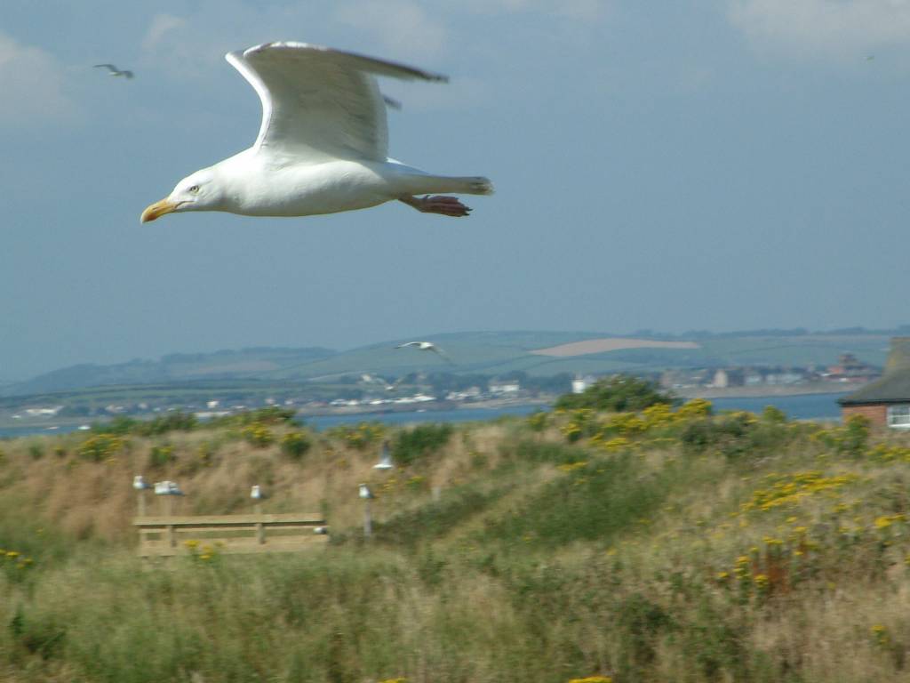 Click now to see this image full size.