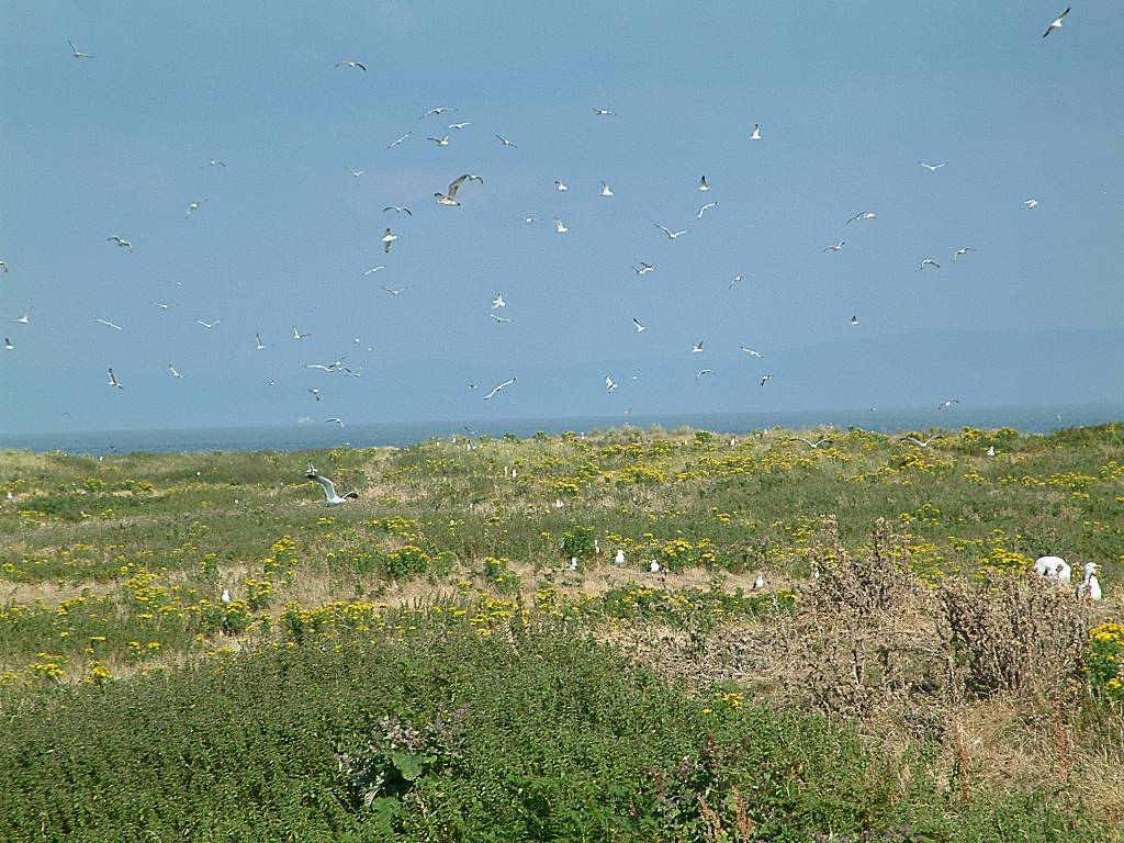 Click now to see this image full size.