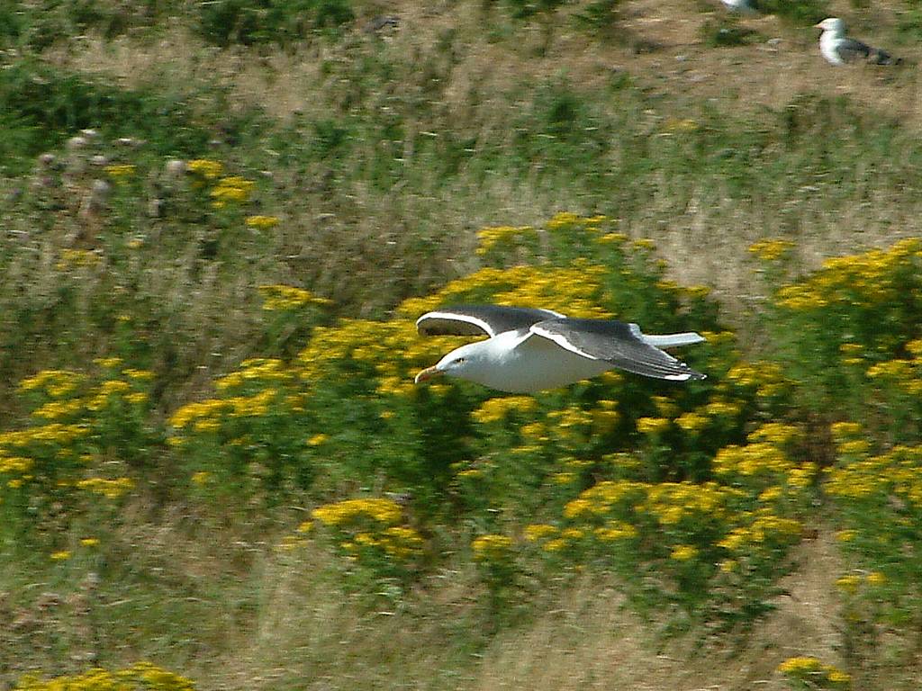 Click now to see this image full size.