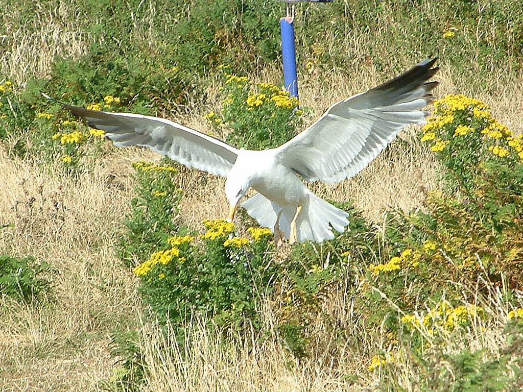 Click now to see this image full size.