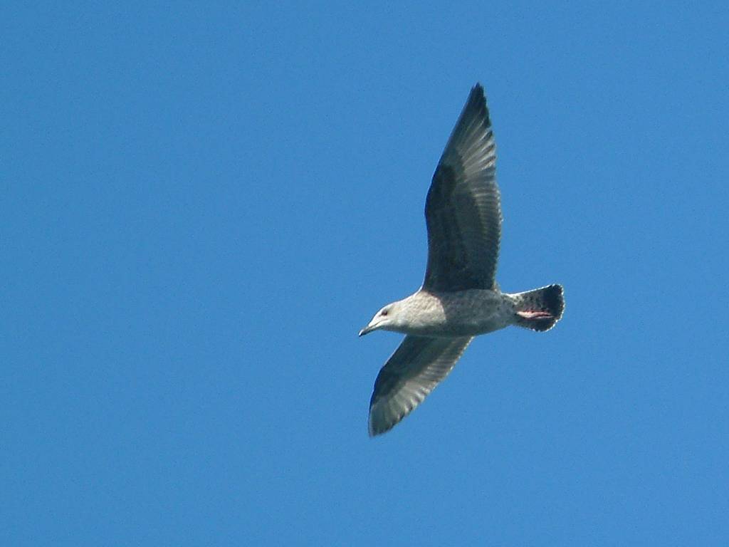 Click now to see this image full size.