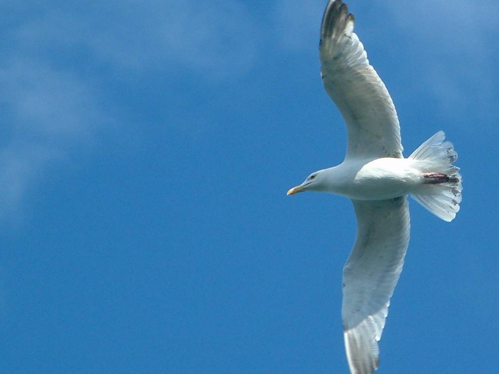 Click now to see this image full size.