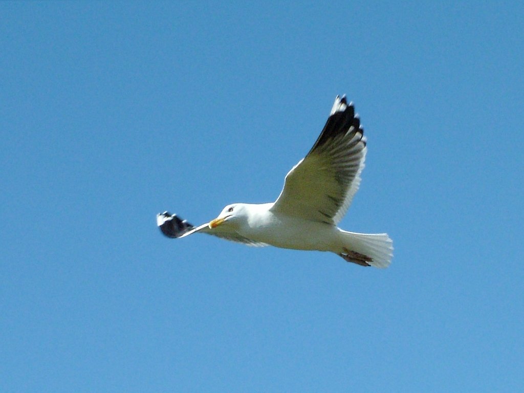 Click now to see this image full size.