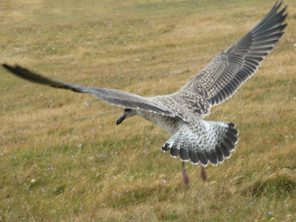 Click now to see this image full size.