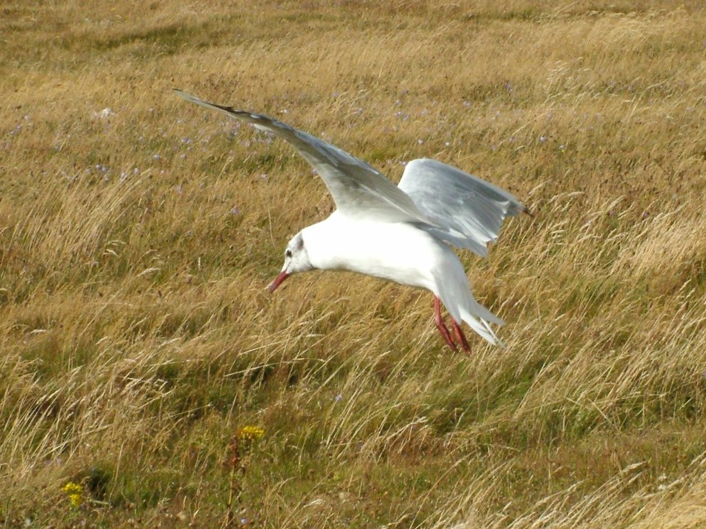 Click now to see this image full size.