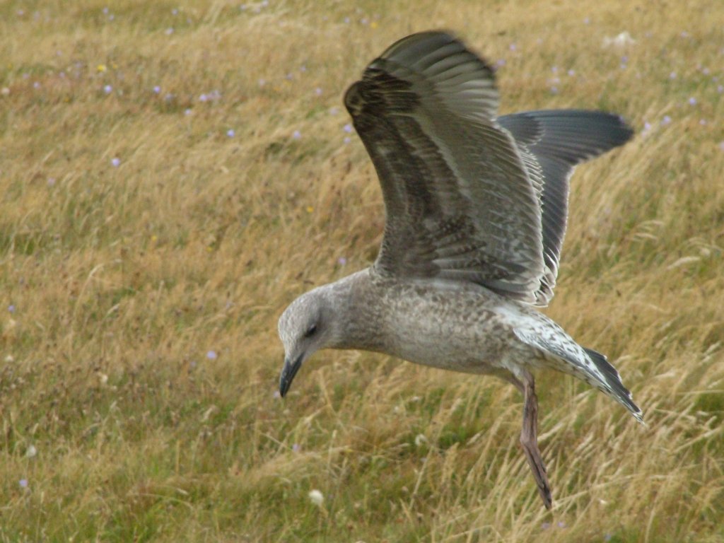 Click now to see this image full size.