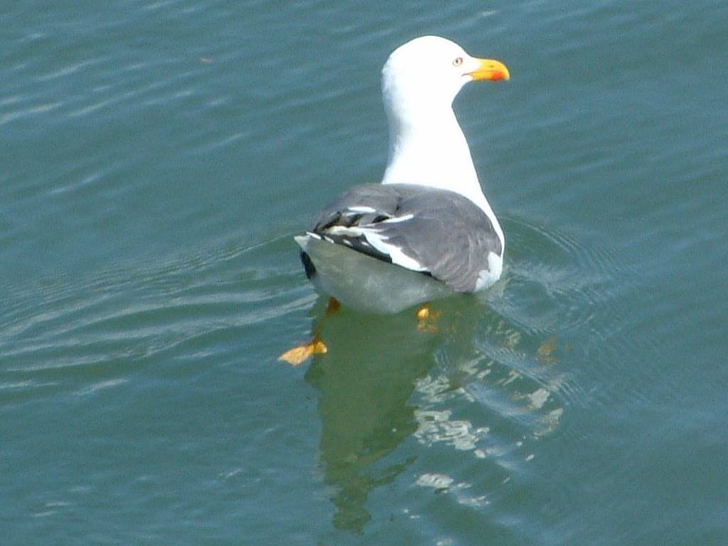 Click now to see this image full size.