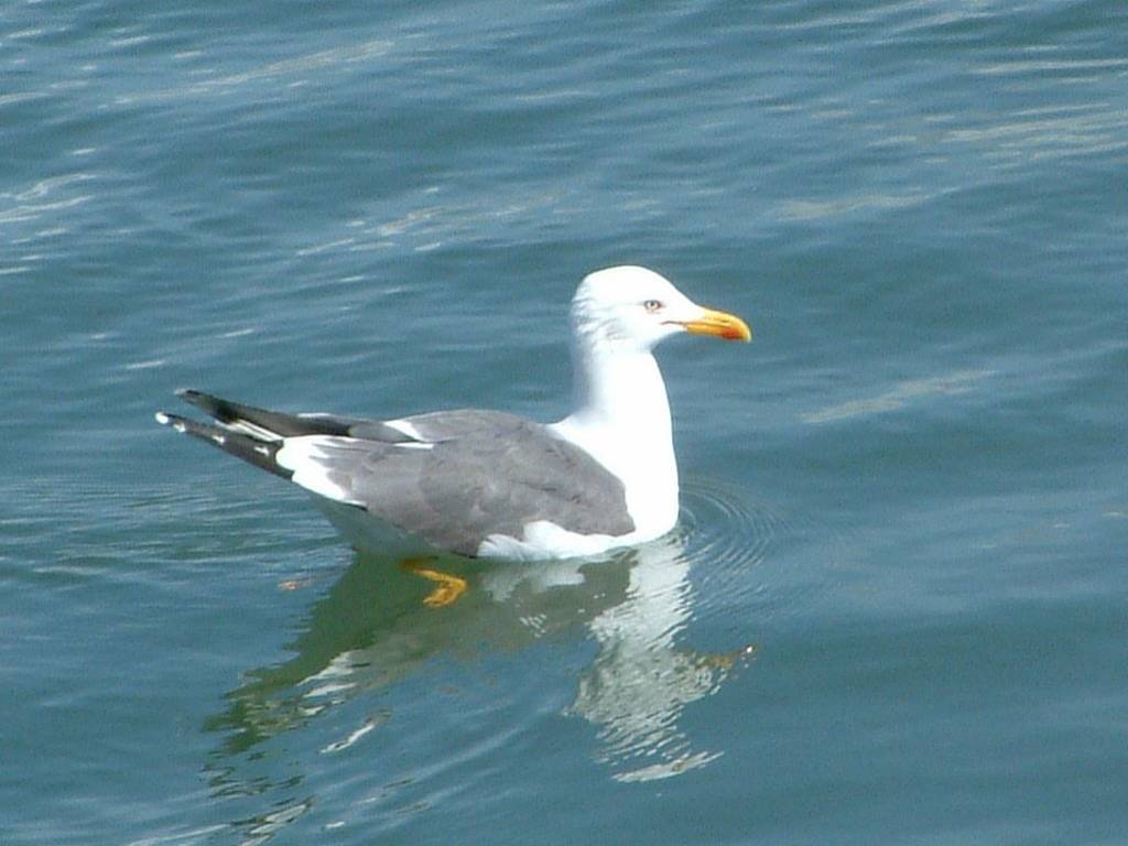 Click now to see this image full size.