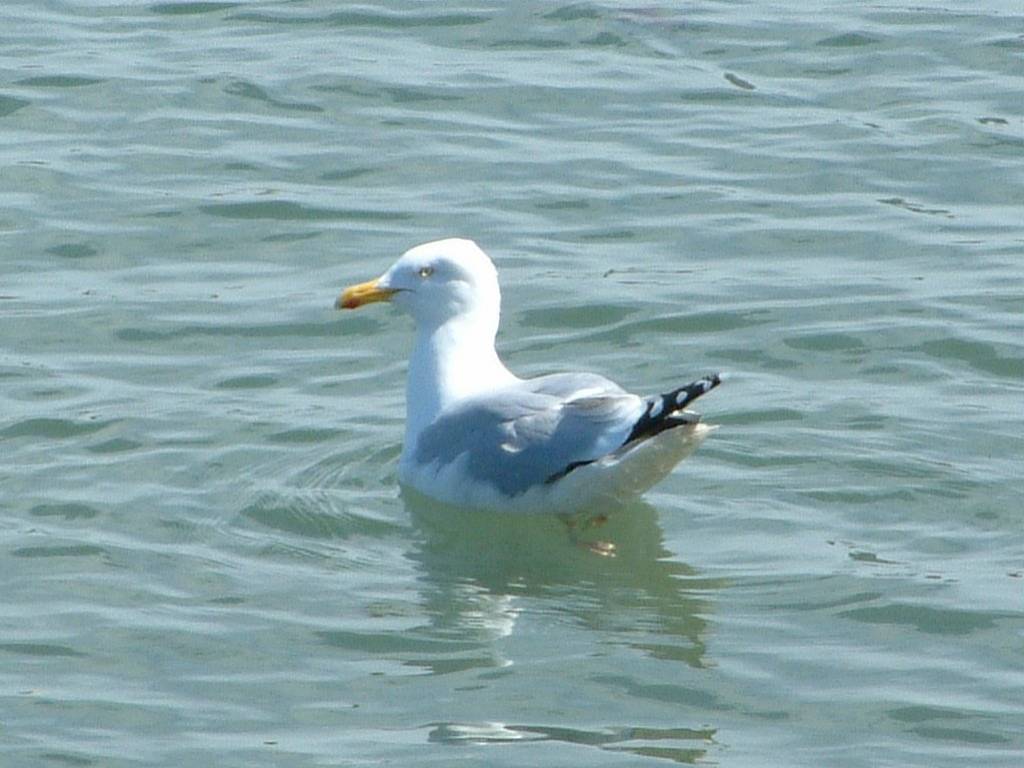 Click now to see this image full size.