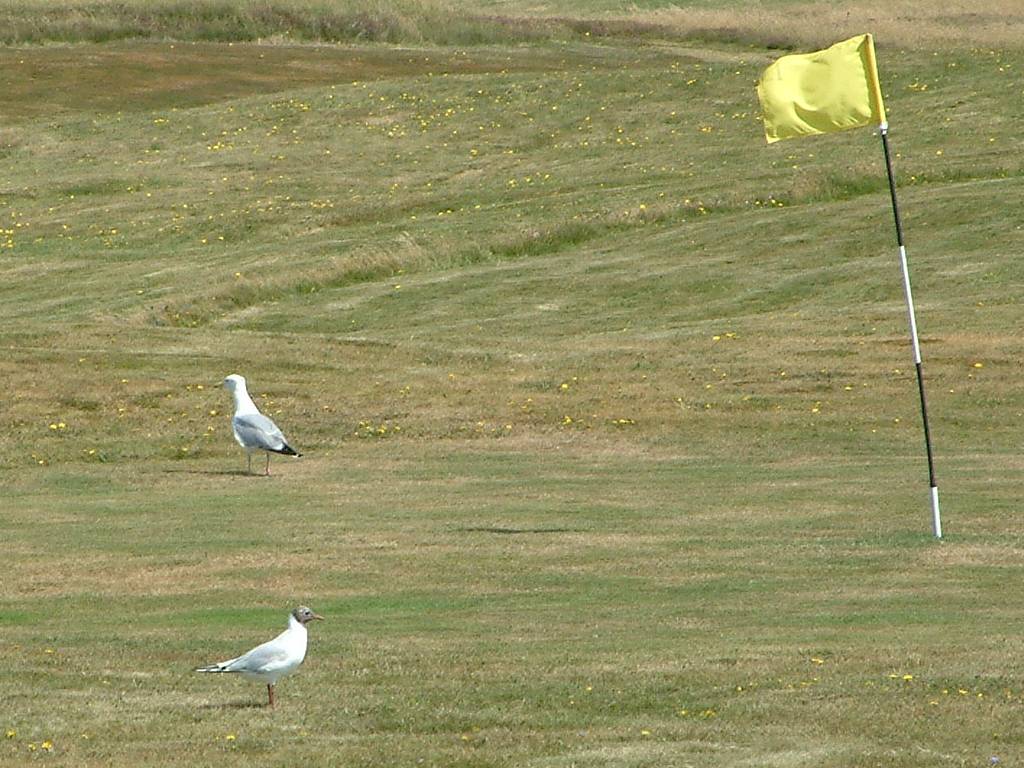 Click now to see this image full size.