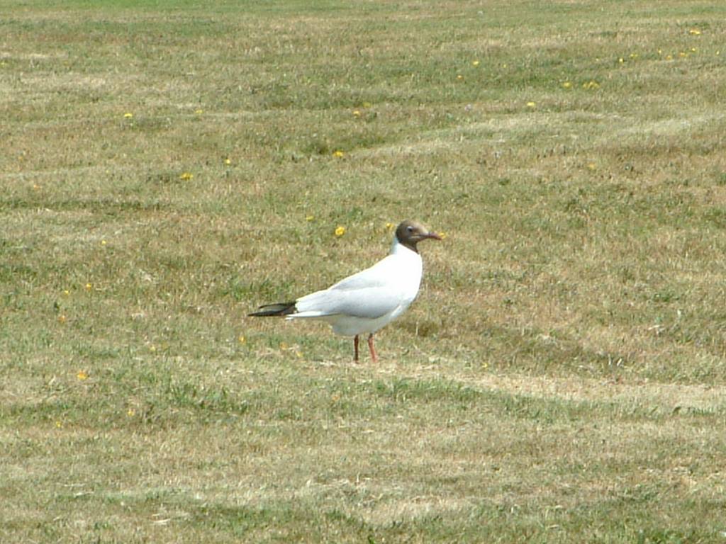 Click now to see this image full size.