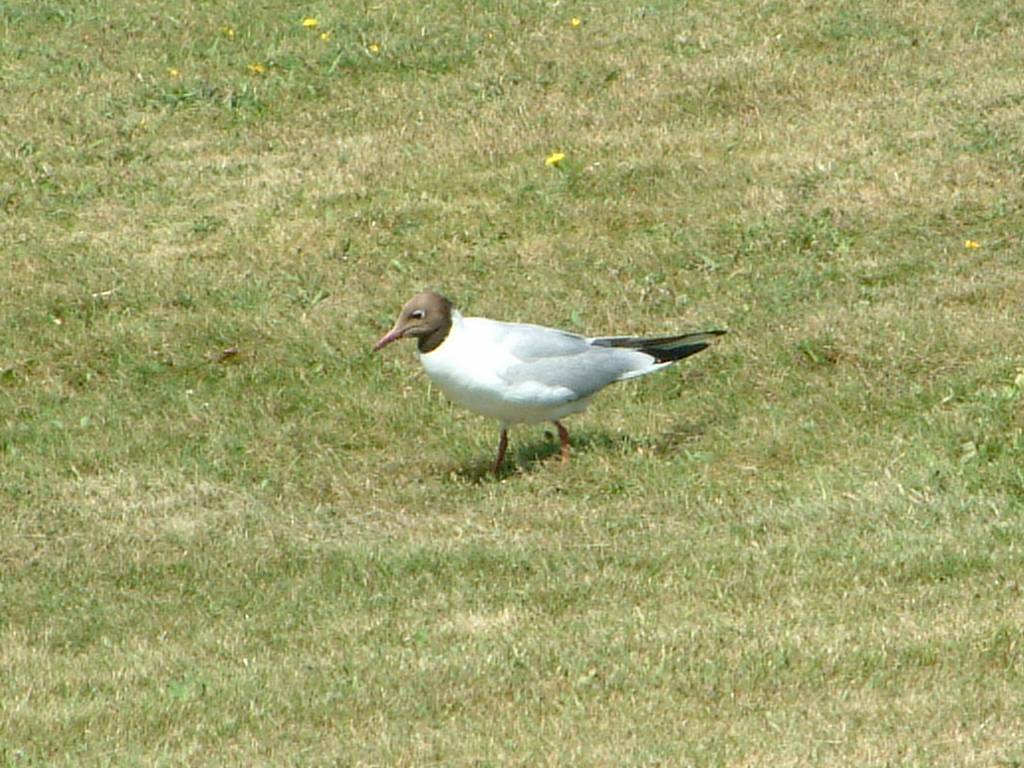 Click now to see this image full size.