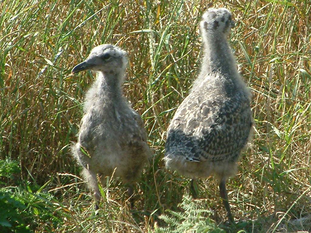 Click now to see this image full size.