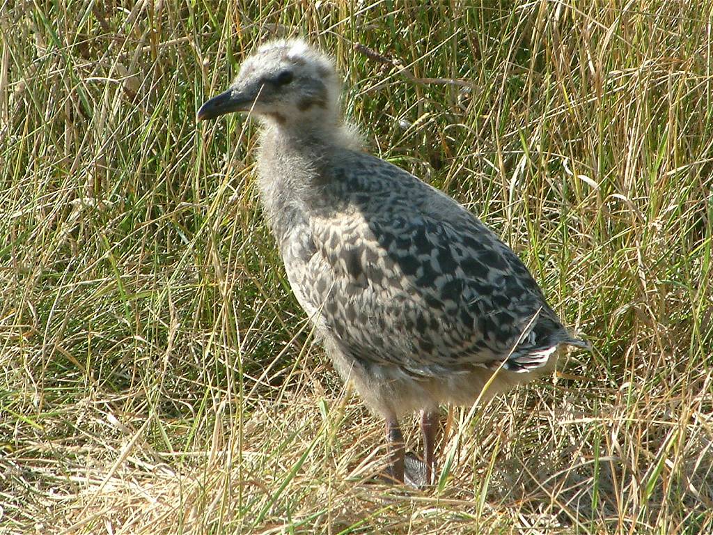 Click now to see this image full size.