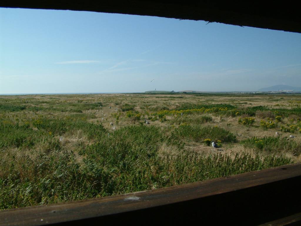 Click now to see this image full size.