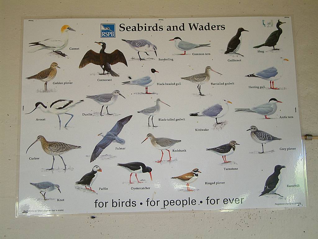 Click now to see this image full size.