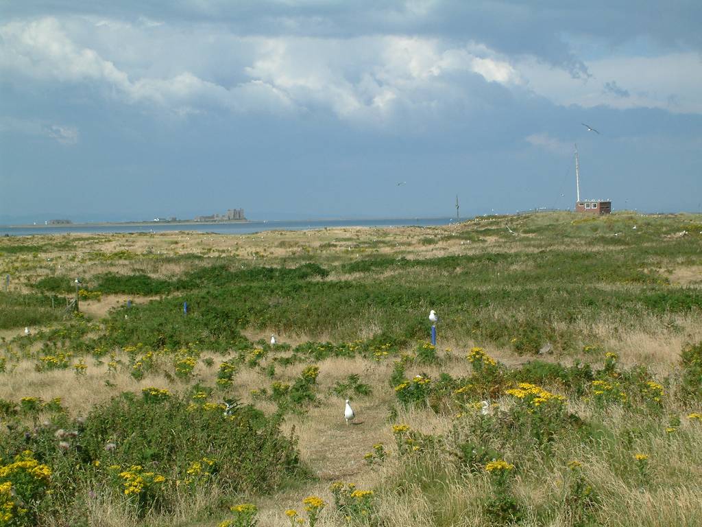 Click now to see this image full size.