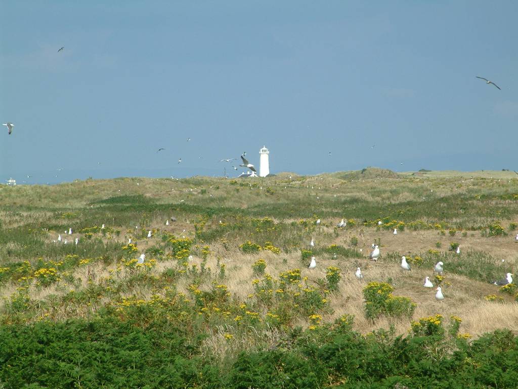 Click now to see this image full size.