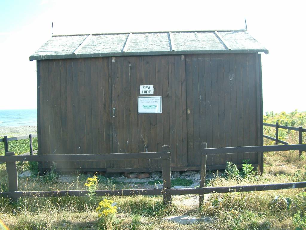 Click now to see this image full size.