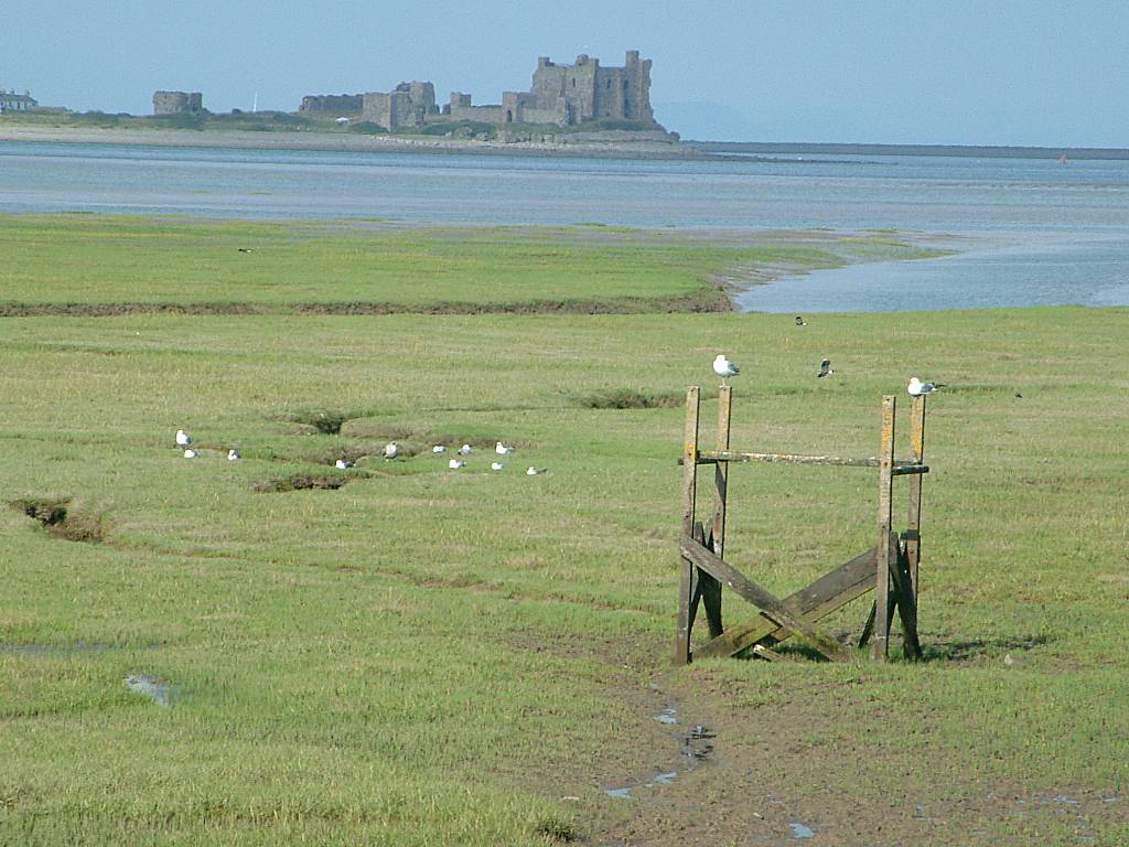 Click now to see this image full size.