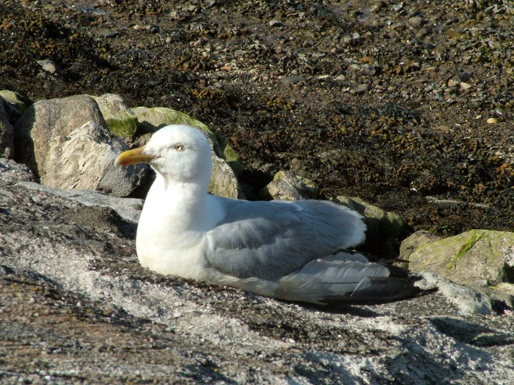 Click now to see this image full size.