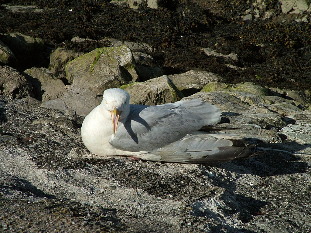 Click now to see this image full size.