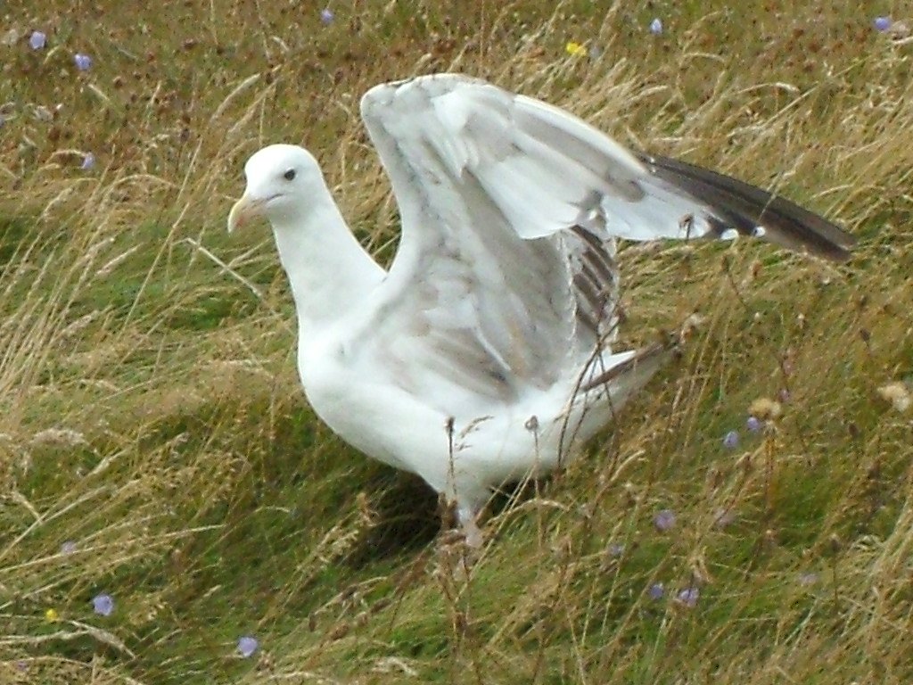 Click now to see this image full size.