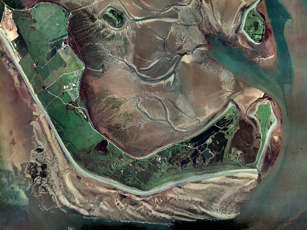 Click now to see this image full size.