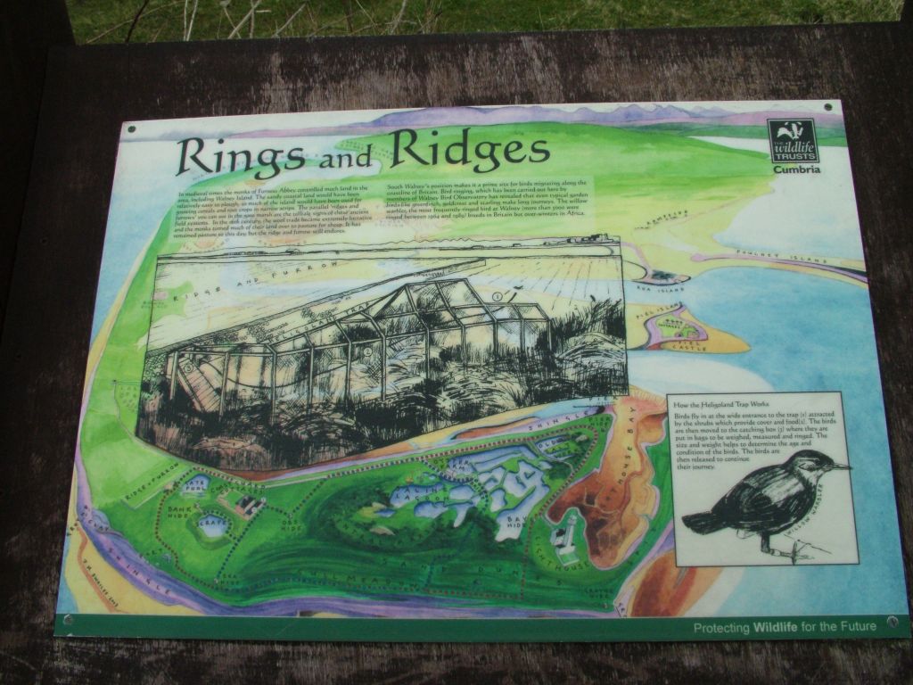 Click now to see this image full size.