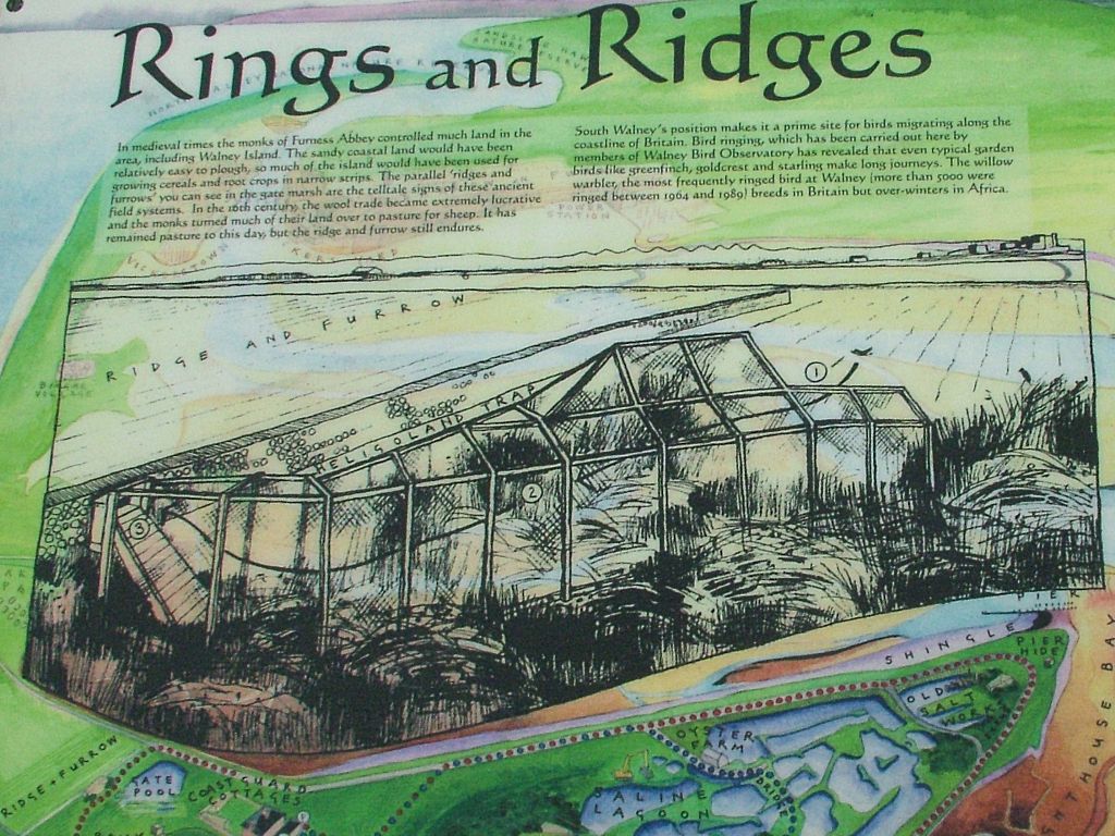 Click now to see this image full size.