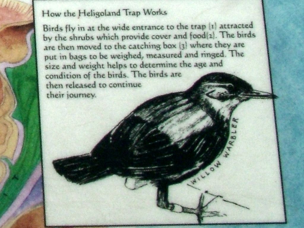 Click now to see this image full size.