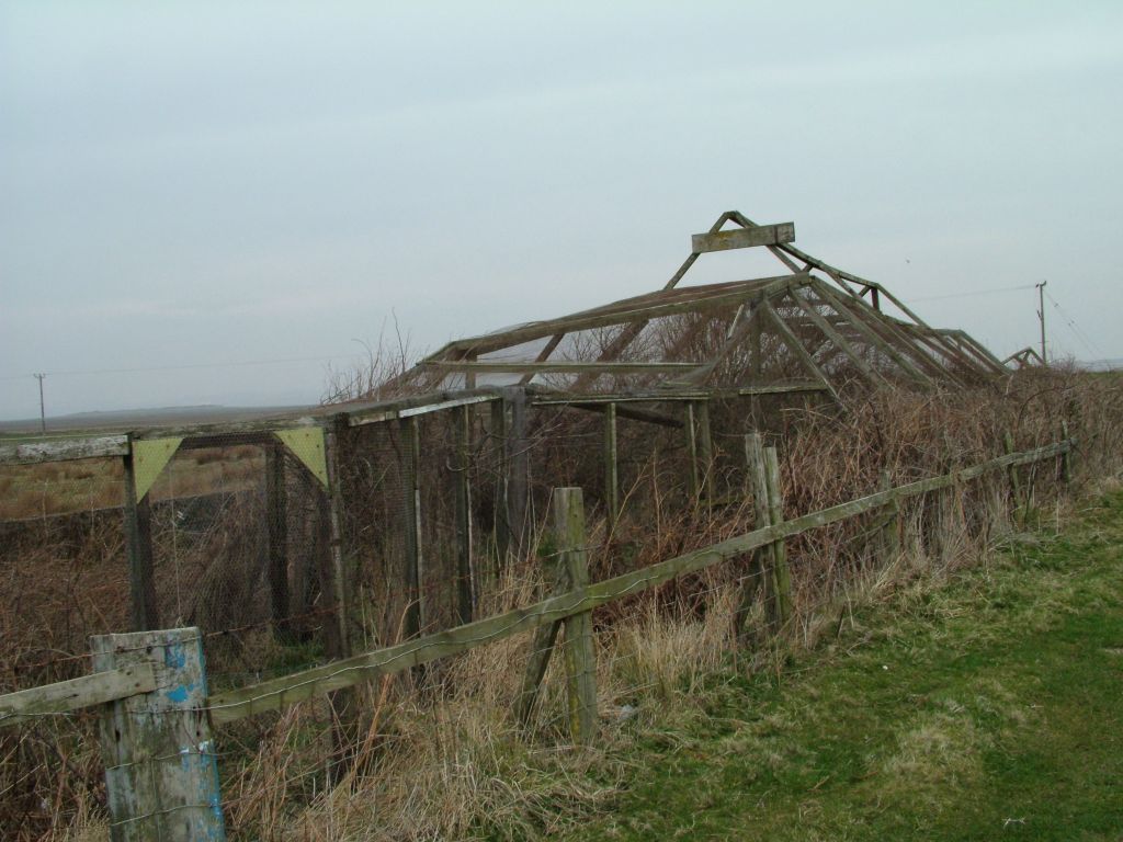 Click now to see this image full size.