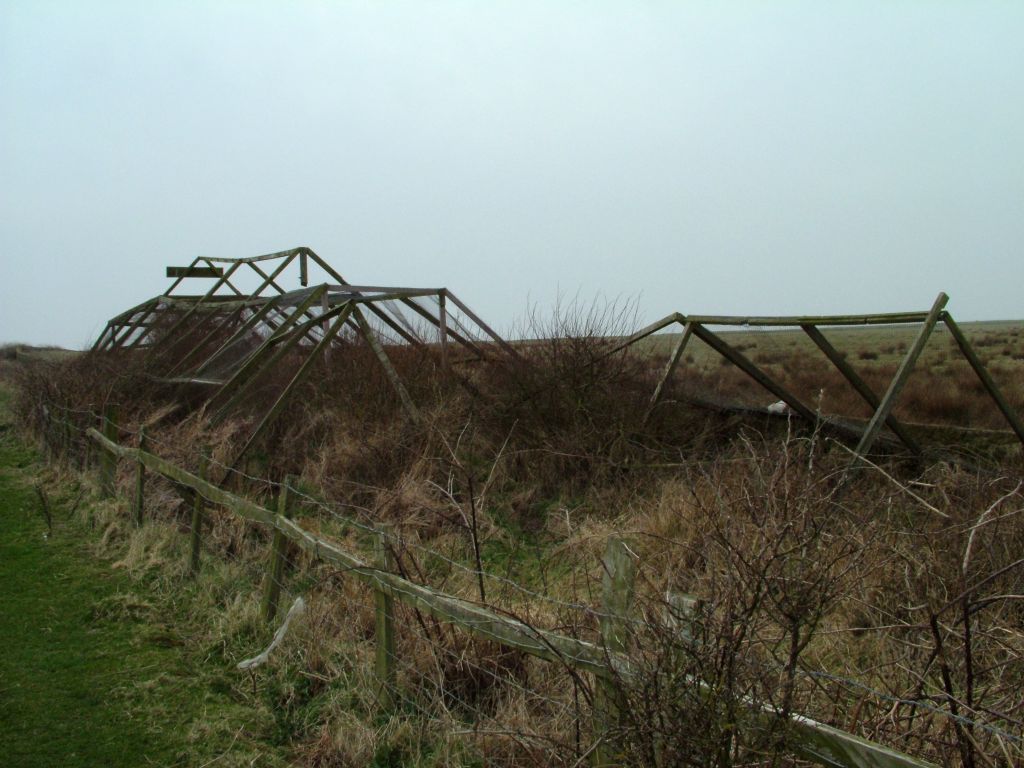 Click now to see this image full size.