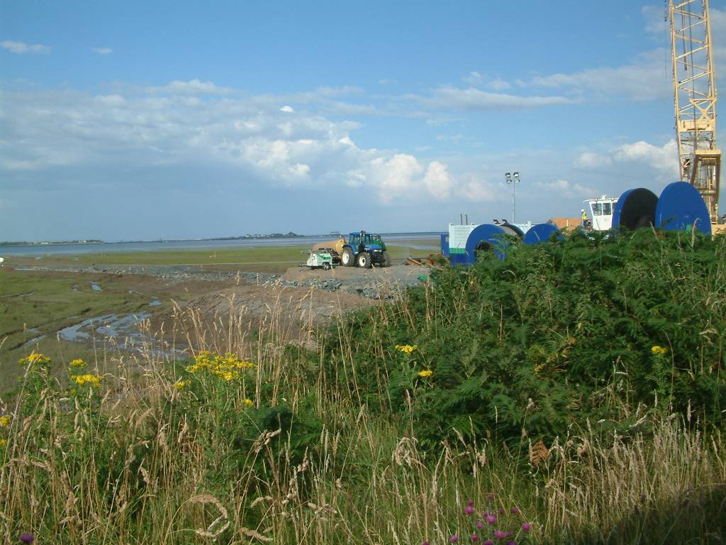 Click now to see this image full size.