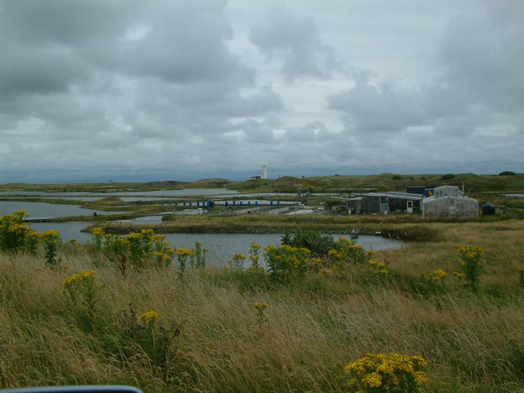 Click now to see this image full size.