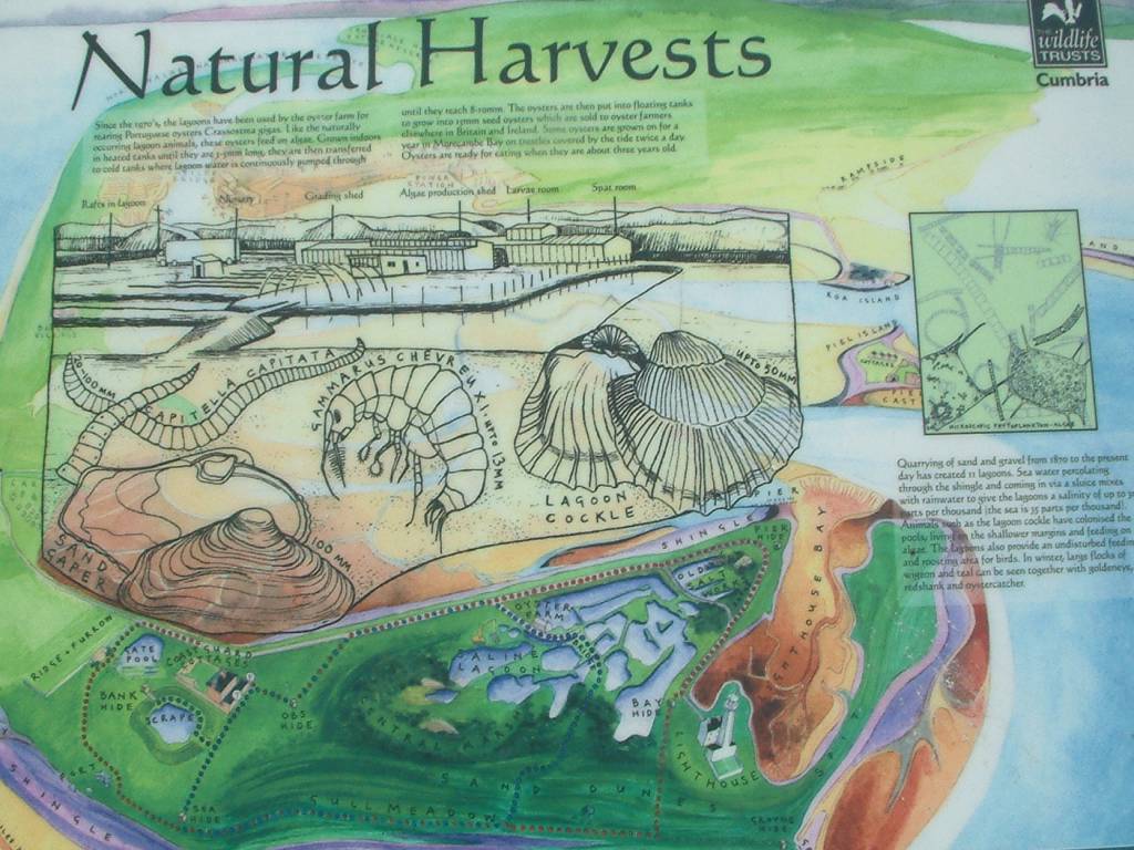 Click now to see this image full size.